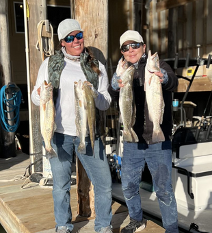 Sea Trout Haul In Port Isabel